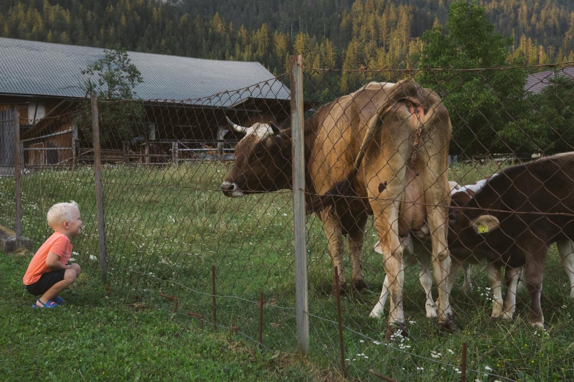 Landhaus Obervellach ヘルマゴル エクステリア 写真